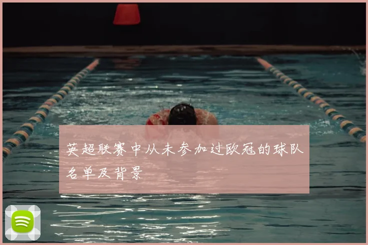 英超联赛中从未参加过欧冠的球队名单及背景